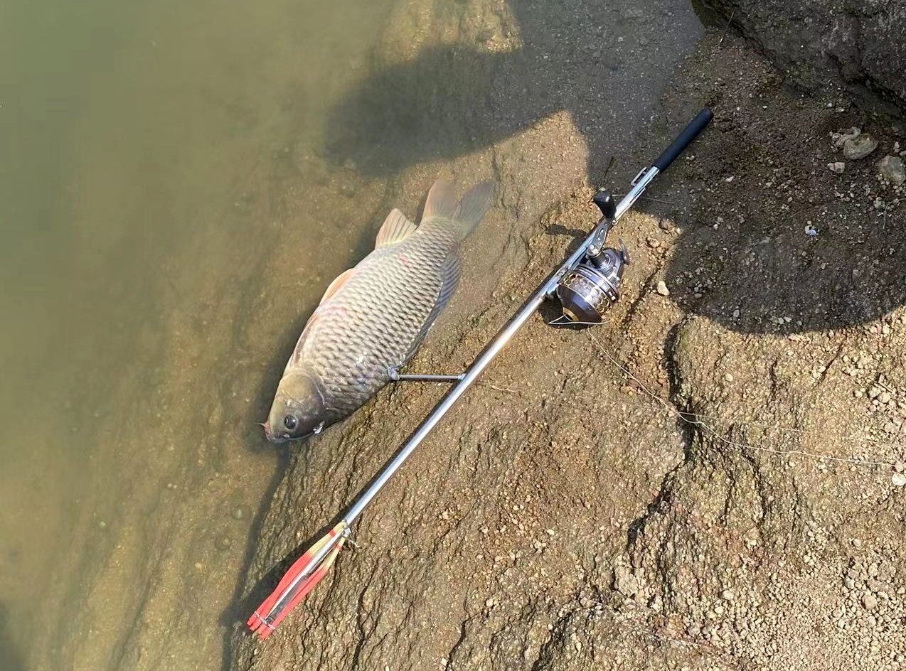 Newest Underwater Shoot Fish Launcher Easy Design Effective Safe for