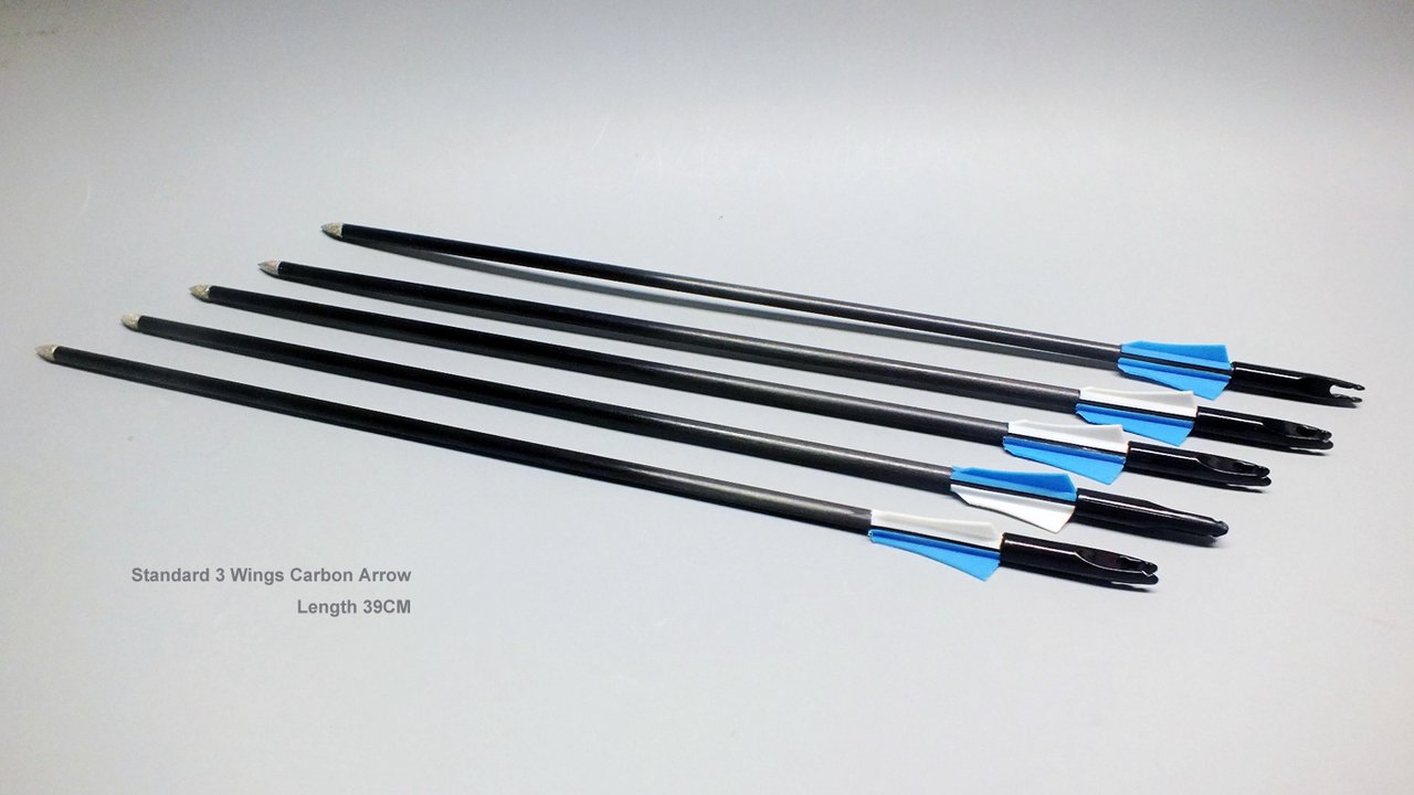 World Smallest Mini Compound Bow 220G & 20 Pounds Full Features Bow